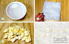 Start by wetting a paper towel. Simple Seed Germination Test