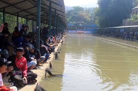 Pelangi Grandprix 2018 Seri 1 88 Lapak Penuh Di Situ Manglayang Kabar Mancing