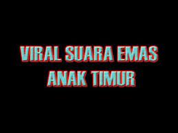 Mengejar badai ( cover femi ) suara emas sang calon bintang dangdut academy. Viral Suara Emas Anak Timur Mampu Guncangkan Dunia Dan Bisa Bikin Kamu Menangis Youtube