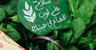 pin by اميرة بأخلاقي on اخضر christmas ornaments holiday decor wood art