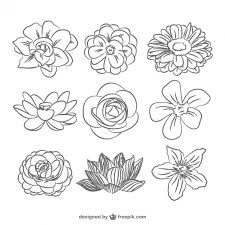 The major color theme is burgundy, you can use them for boho chic, wedding stationery in rustic or super vintage style. Sketched Flowers Collection Flower Drawing Floral Drawing Flower Drawing Tutorials