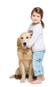 We are a canadian independent locally owned and operated funeral service. Home Pet Heaven Crematorium And Funeral Chapel