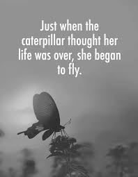 Want to discover art related to catapillar? ðˆð§ð¬ð©ð¢ð«ðšð­ð¢ð¨ð§ðšð¥ ðð®ð¨ð­ðžð¬ On Twitter Just When The Caterpillar Thought Her Life Was Over She Began To Fly Quote