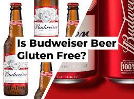 Although most gluten free beers are typically safe to drink for almost all drinkers, including those with severed gluten allergies, sensitivities, or celiac disease, there are a few that should be avoided, such as omission. Is Budweiser Beer Gluten Free Glutenbee