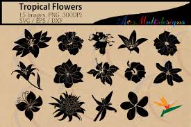 Download 1 Tropical Flowers Icon Designs Graphics PSD Mockup Templates