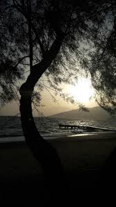 Ilgin Agaclari Color Photography Black And White Outdoor