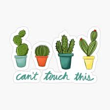 Artikelen van cactus u can't touch this koop je eenvoudig online bij bol.com ✓ veelal gratis verzonden. Can T Touch This Cacti Poster By Taylorbwright Redbubble
