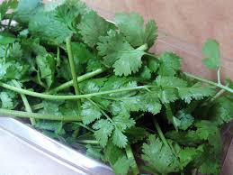 Daun ubi tumbuk (indonesian for pounded cassava leaves) is a vegetable dish commonly found in indonesia, made from pounded cassava leaves. Daun Ketumbar Herbal Aromatik Foto Gratis Di Pixabay