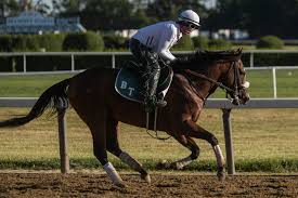 Reformcph.com has been visited by 10k+ users in the past month Belmont Stakes 2020 Odds Picks And Predictions The New York Times