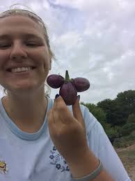 2020 IN CERRO GORDO COUNTY