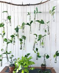 Urban Jungle Bloggers On Instagram Hang In There The Weekend Is Almost Here Isn T This A Cool Idea F Plant Wall Indoor Gardens Hanging Plants
