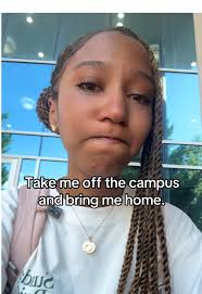 Erika Lyles Hampton University