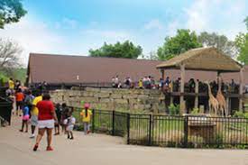 The peggy notebaert nature museum chicago, il an amazing experience in the heart of chicago, where the family can have a nature and science filled family day out at this nature museum. Plan Your Visit Niabi Zoo