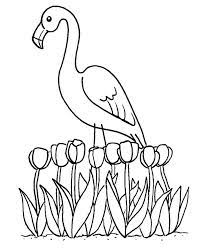 Flamingo coloring page bird coloring pages coloring sheets for kids printable coloring pages coloring books mermaid coloring pages how to draw flamingo this cute flamingo coloring page would make a cute present for your parents. Flamingo Coloring Pages 100 Pictures Free Printable