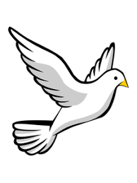 Vector De La Imagen De Una Paloma Volando Paloma Volando Tatuajes De Pajaros Volando Dibujos De Palomas