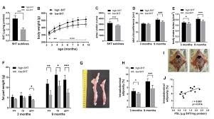 Ke jepun ke kita episod 1. Ijms Free Full Text Metabolic Disturbances In Rat Sublines With Constitutionally Altered Serotonin Homeostasis Html