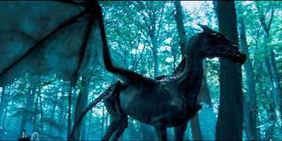 Adopt this creature on dark forest with 75 red notebooks and 15 blue notebooks here's the level guide for thestral on harry. Mythtery Harry Should Have Always Seen Thestrals Mugglenet
