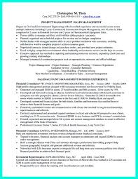 project manager resume
