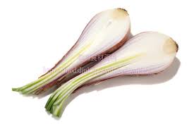 ベルギー エシャロット シャロット の選び方と保存方法や食べ方 旬の野菜百科