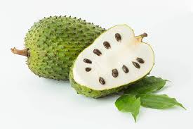 Image result for Annona muricata
