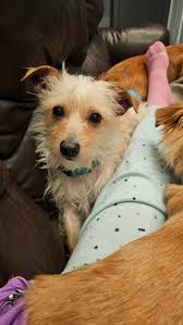 Who put the hashtag tag