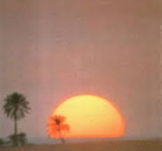 Everything Feels Happy Rn Aesthetic Tumblr Vintage 60s 70s Old Oldies Orange Aesthetic Aesthetic Vintage Aesthetic Photography So personally i love all things vintage: aesthetic tumblr vintage 60s 70s