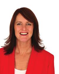 Mayor criticises non-complying development approvals