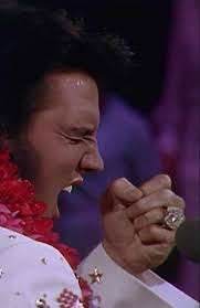 Reynaldo Rincon (rnalex647)