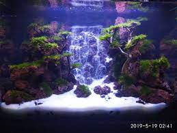 Aquascape Waterfall Lukisan
