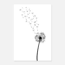 Lowenzahn Pusteblume Mit Vogelschwarm Poster Spreadshirt Pusteblumen Zeichnen Pusteblume Lowenzahn