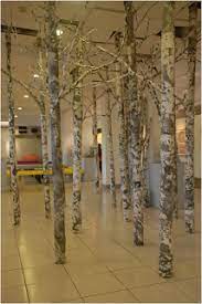 望水 著墨 築山林 夢想家 佈展人 實踐者 築山林課程省思 design home decor decor