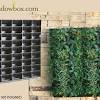 When installing living walls indoors, water containment is critical:. 1