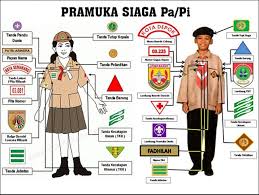 Kumpulan materi pramuka siaga jenjang sd/mi yang kami bagikan ini hanya sebagai salah satu contoh dan bukan menjadi landasan wajib untuk keseluruhan pembelajaran pramuka. Materi Pramuka Siaga Ini Wajib Di Ketahui