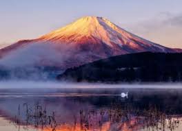 Spotlight On Yamanashi Nature