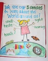 Image Result For Environmental Science Charts On Sensory