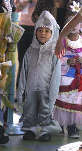 Gallery: Halloween costumes for children and animals