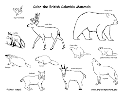 Leave the rectangles around section 2 white. Canadian Province British Columbia