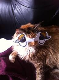 Please remember to share it with your friends if you like. 23 Photos Of Cats With Funny Anime Eyes