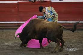 Manizales: Labor Cumplida con Tareas Pendientes | Voy a Los Toros