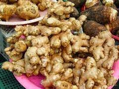 Untuk jualan runcit, minimum pembelian adalah 2kg. Khasiat Halian Bentong Toko Bunga Asri