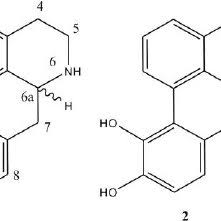 Image result for Artabotrys monteiroae