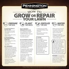 Pennington 50 Lb Annual Ryegrass Grass Seed