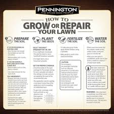 pennington 50 lb annual ryegrass grass seed