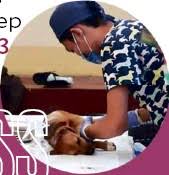 Neutering a cat helps to prevent more litters of cats that may end up homeless. Why Spaying And Neutering Can Keep Pets Healthier Pressreader