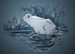 Resultado de imagen de ilusiones opticas de ver un animal si giras la imagen