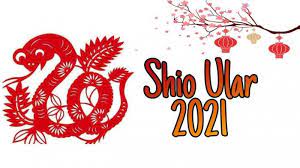 Shio 2021 Ramalan Shio Ular 2021 Karier Keuangan Hingga Cinta Nasib Baik Keberuntungan Menanti Tribun Pontianak