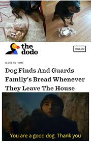 A way of describing cultural information being shared. You Re A Good Dog Thank You R Memes Know Your Meme