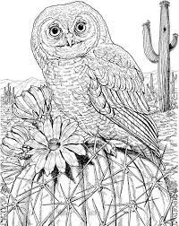 Download and print these printable difficult coloring pages for free. Free Color Pages Owls Download Printable Free Animal Owl Colouring Pages For Kids Owl Coloring Pages Bird Coloring Pages Animal Coloring Pages