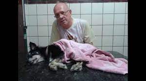 Es kann das heben auf den behandlungstisch beim tierarzt sein. Mein Hund Girly Und Ihr Tod Am 18 11 2015 Peter M Bauer Youtube