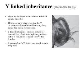 Holandric genes can only be passed by males onto their sons; Sex Linkage And Sex Determination Sex Linkage The